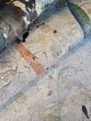 Fototapeta Dynamiczna Abstrakcja Ollivio
