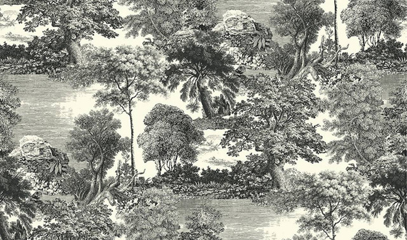 Panel Salcey Forest