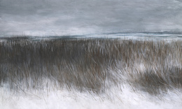 Fototapeta artystyczna Frozen trawy wydmy morze