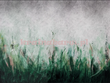 Fototapeta Tosca Green