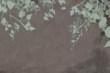Fototapeta Glamora Adorni