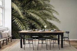 Fototapeta  Palmowe Liście