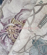 Fototapeta Kwiaty Piwoni Jardin 