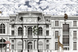 Fototapeta Animal Avenue