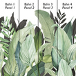 Tapeta Mural 18001 Tropical Forest Coconut