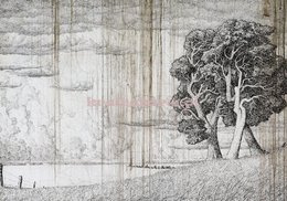 Fototapeta 13685 Drzewo na starym papierze