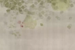 Fototapeta Glamora Hanami Green