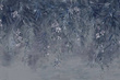Fototapeta Honolulu, Cloud