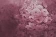 Fototapeta Harmony, Fuchsia