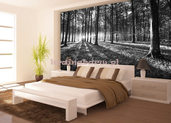 Fototapeta 2229 Czarno Biały Las