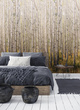 Tapeta Mural Birch Tree A42601