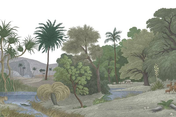 Fototapeta Jungle Land