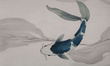 Tapeta artystyczna Wallart Koi 