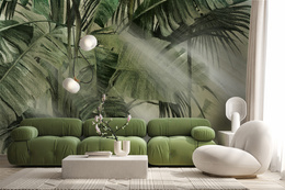 Fototapeta Tropikalne Liście I Promienie Słońca