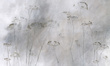 Fototapeta artystyczna Pianta trawy