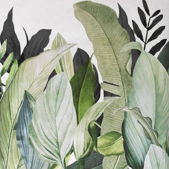 Tapeta Mural 18001 Tropical Forest Coconut