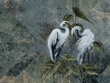 Fototapeta Wallcraft Ardea