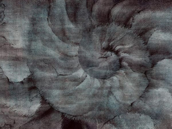 Fototapeta Wallcraft Fosillium