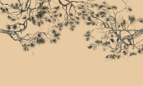 Fototapeta artystyczna Arbor konary sosny