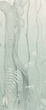 Panel Moesson Dew