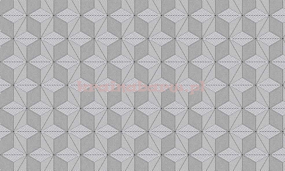Fototapeta na flizelinie Magia di linee