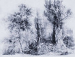 Fototapeta na flizelinie Calm Blue