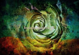 Fototapeta 13498 Kwiat