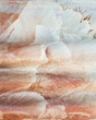Fototapeta Pastelowe Kwiaty Celine 1