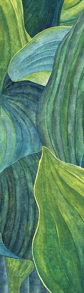 Panel Hosta Aqua 