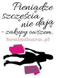 Naklejki na ścianę PIENIĄDZE SZCZĘŚCIA NIE DAJĄ SPN72