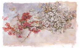 Fototapeta artystyczna Pia kwiaty