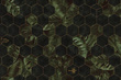Fototapeta Hexagon 
