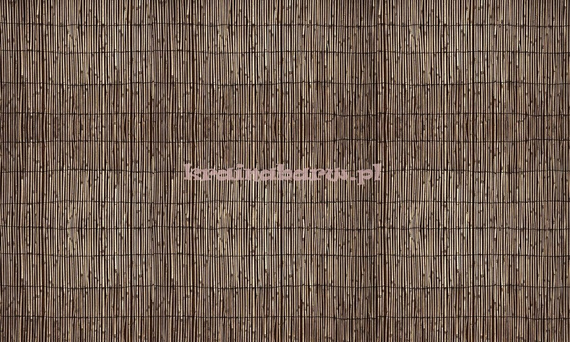 Nowoczesna fototapeta na flizelinie Orientalny Kolaż  Asami I