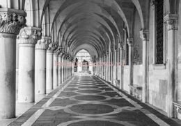 Fototapeta 12657 Arkady