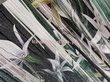 Fototapeta Native