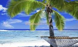 Fototapeta na flizelinie 578VE  Plaża