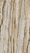 Tapeta Mural Vertical Marble A50801