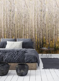 Tapeta Mural Birch Tree A42601