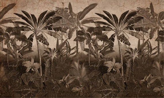 Fototapeta Wallart Robinson Rust Palmy