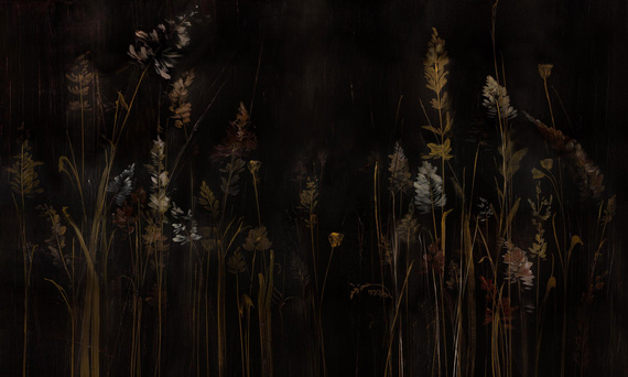 Fototapeta artystyczna Calamus Trawy