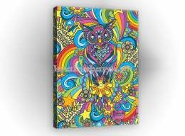 Obraz na płótnie PP924O4 Kolorowa Sowa III
