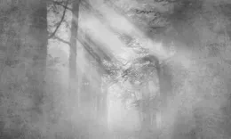 Tapeta Artystyczna Drzewa