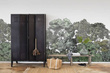 Fototapeta Tajemniczy Las Bellewood