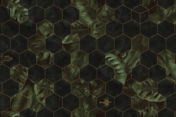 Fototapeta Hexagon 