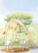 Tapeta Mural CW6115-2 Mom And Baby Giraf