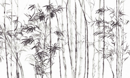 Fototapeta artystyczna Jawa 2 bambusowe drzewka