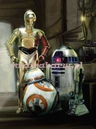 Fototapeta 2762P4A Gwiezdne Wojny Roboty