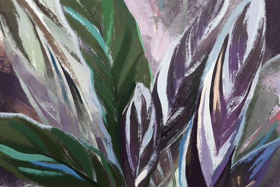 Fototapeta Kolorowe Płatki Roślin