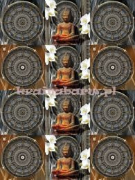 Naklejki na ścianę KAFELKI BUDDA SPN229