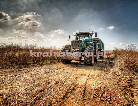 Fototapeta RE080008 TRAKTOR